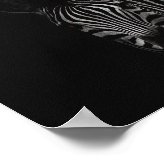 Zebra, Schwarz-Weiß-Foto Poster (Ecke)