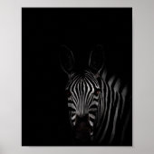 Zebra, Schwarz-Weiß-Foto Poster (Vorne)