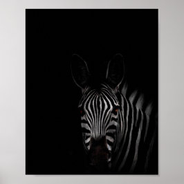 Zebra, Schwarz-Weiß-Foto Poster