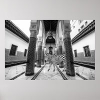 Zebra Schwarz-weiß Gebäude Landschaft