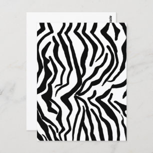 Zebra Schwarz-Weiß-Muster verborgen Postkarte
