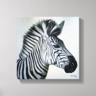 Zebra Schwarz-Weiß-Porträt Klein Leinwanddruck