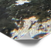 Zebra Shark Poster (Ecke)