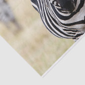 Zebra sieht dich an seidenpapier (Ausschnitt)