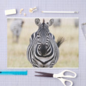 Zebra sieht dich an seidenpapier (Handwerk)