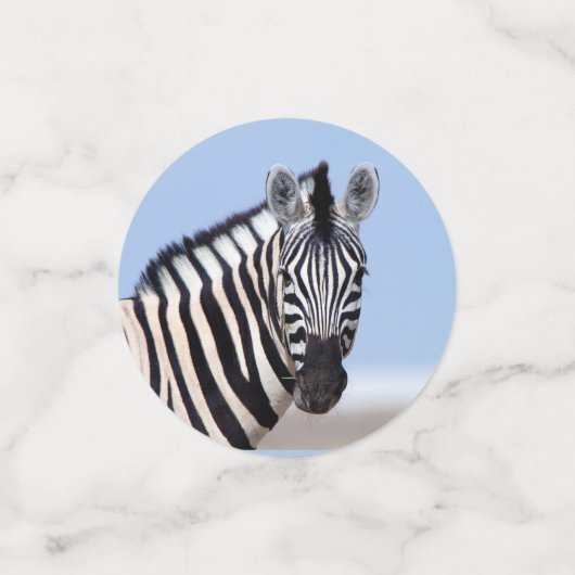 Zebra sieht dich mit blauem Himmelslicht Foto an Konfetti (Klein Vorderseite)