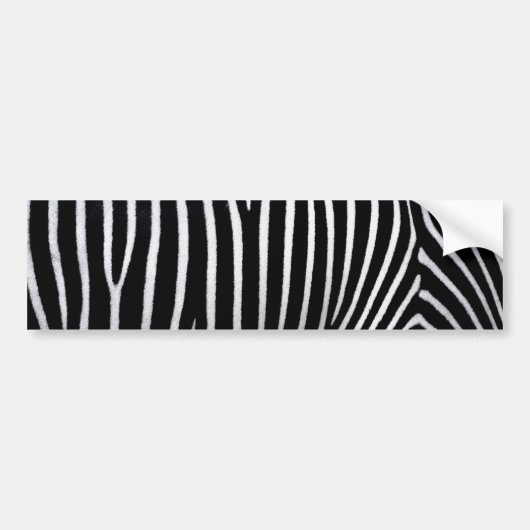 Zebra Skin Autoaufkleber (Vorne)