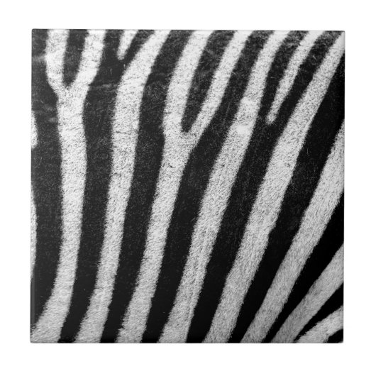 Zebra Skin Fliese (Vorderseite)
