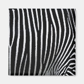 Zebra Skin Magnet (Vorne)