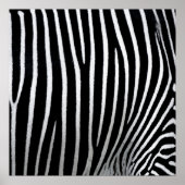 Zebra Skin Poster (Vorne)
