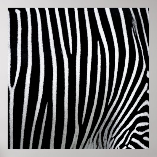 Zebra Skin Poster (Vorne)