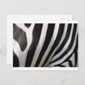Zebra Skin Print Postkarte (Vorne/Hinten)