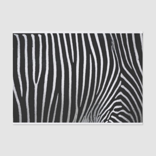 Zebra Skin Seidenpapier (Vorderseite)