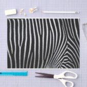 Zebra Skin Seidenpapier (Handwerk)