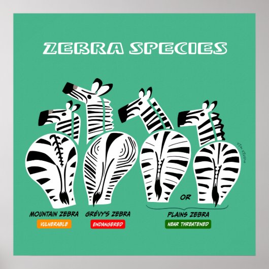 Zebra Species Art Poster (Vorne)