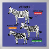Zebra Species Art Poster v2 (Vorne)