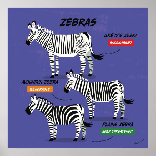 Zebra Species Art Poster v2 (Vorne)