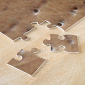 Zebra Spider Puzzle (Seite)