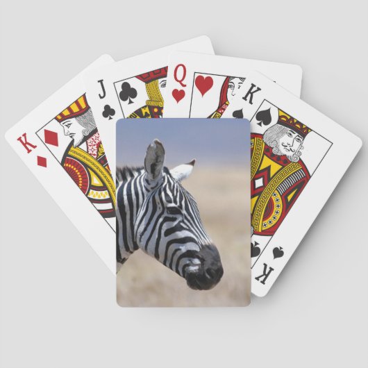 Zebra Spielkarten (Rückseite)