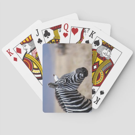 Zebra Spielkarten (Rückseite)