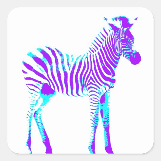 Zebra Square Sticker (Vorderseite)
