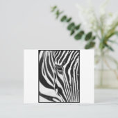 Zebra Stare Postkarte (Stehend Vorderseite)