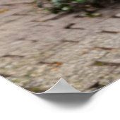 Zebra Statue im Geschäft, Deutschland Poster (Ecke)