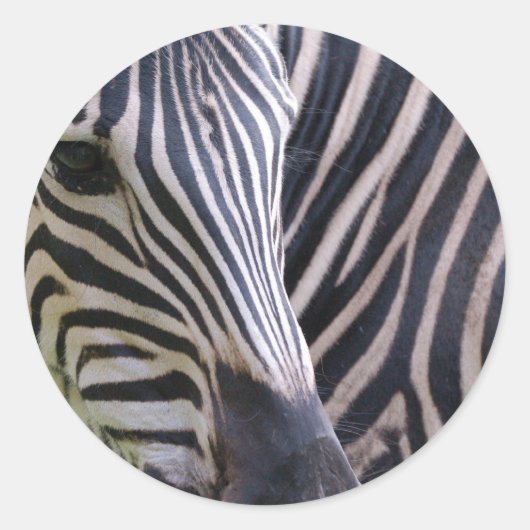 Zebra Sticker (Vorderseite)