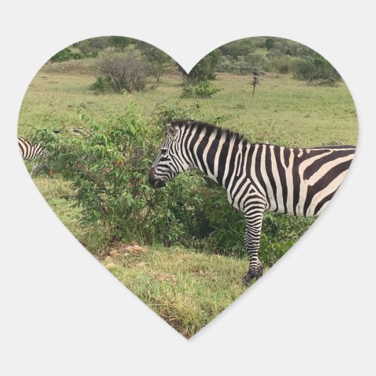 Zebra Sticker (Vorderseite)