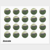 Zebra Stickers (Blatt)