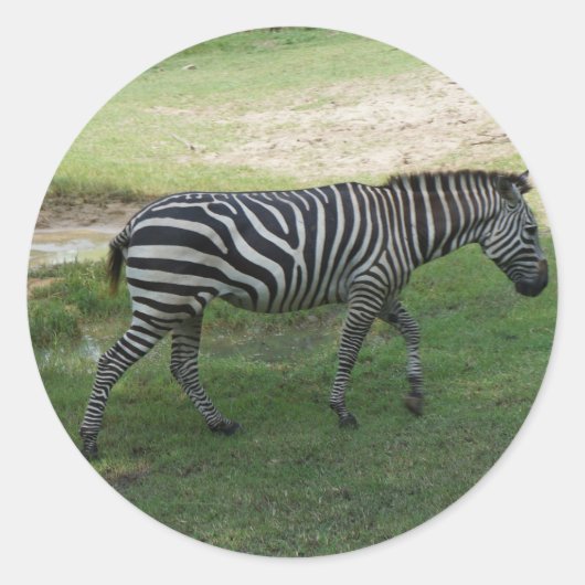 Zebra Stickers (Vorderseite)