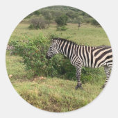 Zebra Stickers (Vorderseite)