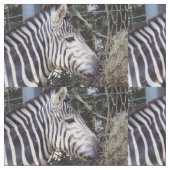 Zebra Stoff (Nahaufnahme)