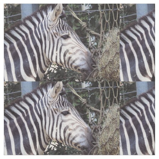 Zebra Stoff (Nahaufnahme)