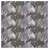 Zebra Stoff (Muster)