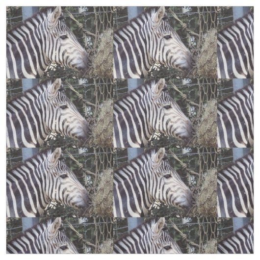 Zebra Stoff (Muster)