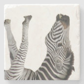Zebra Stone Untersetzer (Vorderseite)