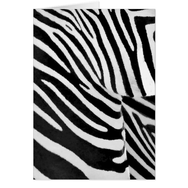 Zebra Streifen#3_ (Vorne)