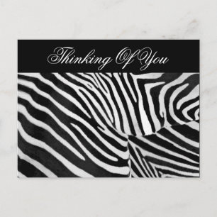 Zebra Streifen#3_ Postkarte