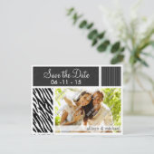 Zebra-Streifen Ankündigungspostkarte (Stehend Vorderseite)