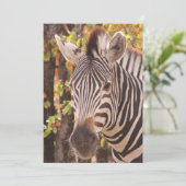 Zebra-Streifen nah in einem Mopanwald-Foto Dankeskarte (Stehend Vorderseite)