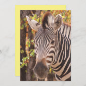 Zebra-Streifen nah in einem Mopanwald-Foto Dankeskarte (Vorne/Hinten)