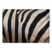 Zebra Streifen Schwarz-Weiß (Vorderseite (Horizontal))