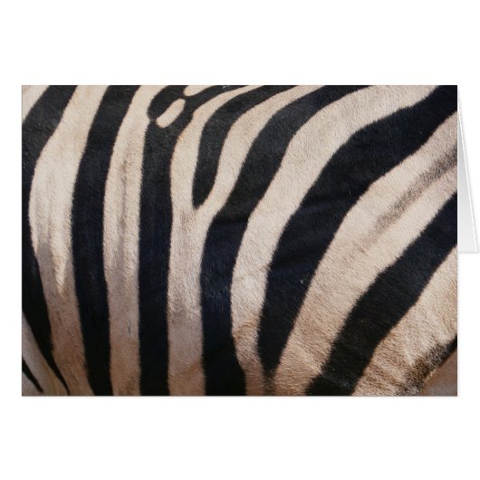 Zebra Streifen Schwarz-Weiß (Vorderseite (Horizontal))