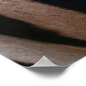 Zebra Streifen Schwarz-Weiß Poster (Ecke)
