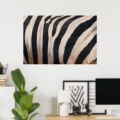 Zebra Streifen Schwarz-Weiß Poster (Heimbüro)