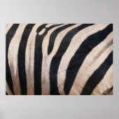 Zebra Streifen Schwarz-Weiß Poster (Vorne)