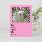 Zebra Strip English Bulldog Party Einladungen (Stehend Vorderseite)