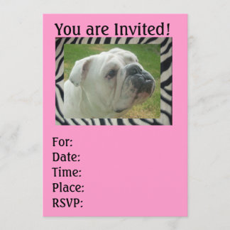 Zebra Strip English Bulldog Party Einladungen