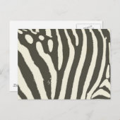 Zebra Stripe Animal Print Muster Postkarte (Vorne/Hinten)